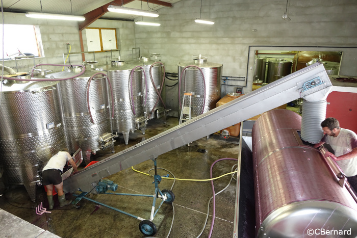 pressage des rouges, vendanges, pressoir
