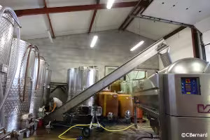 Intérieur de la cave pour l'installation du tapis pour le pressage du vin rouge