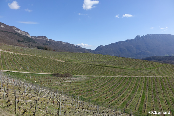 col du chat, vignes, dent du chat, charvaz, jongieux