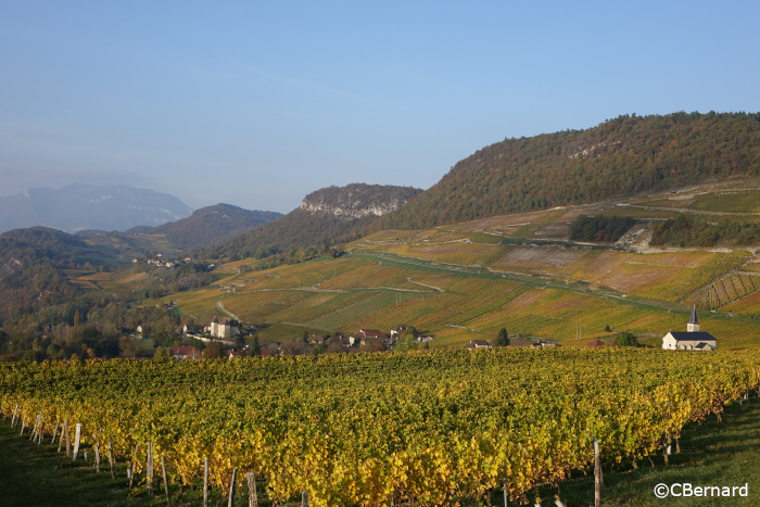 jongieux, église vignes, vue lucey