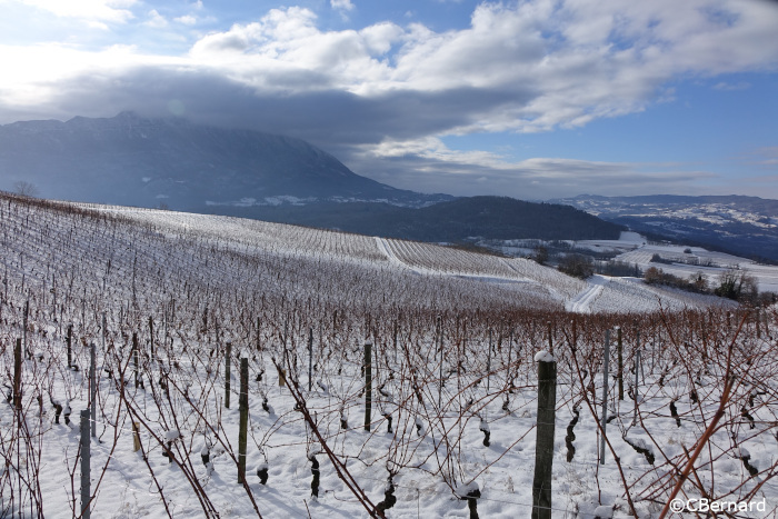 hiver, neige, jongieux