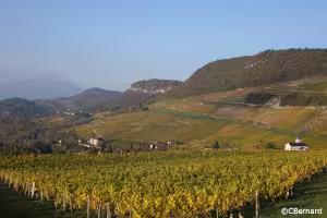 Jongieux, église, vignes, vue Lucey