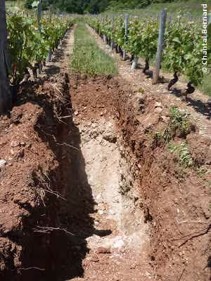Terre, terroir, dépôt de torrent, Jacquère